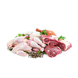 Fresh Meat