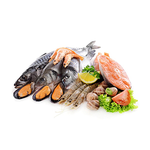 Fresh fish & Seafood
