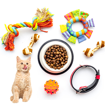 Pet food and accessories