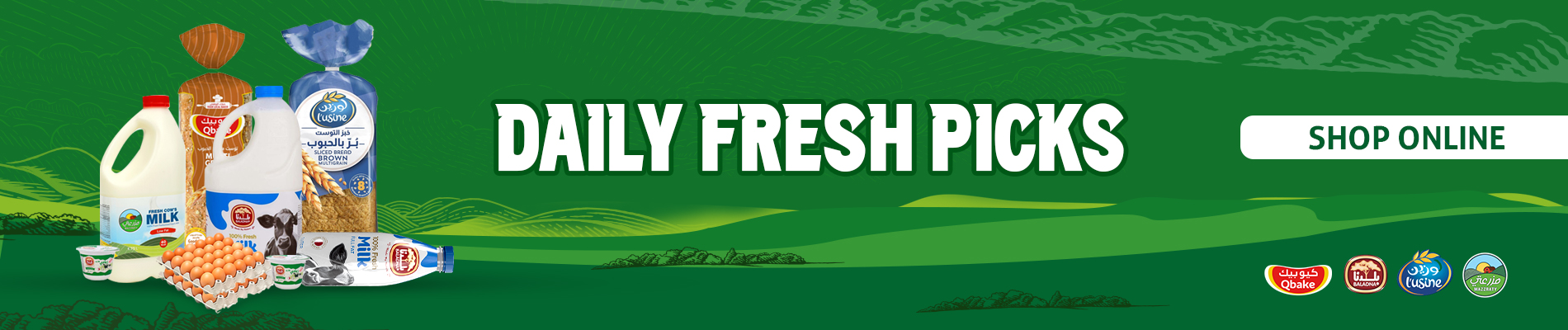 Daily Fresh Picks!