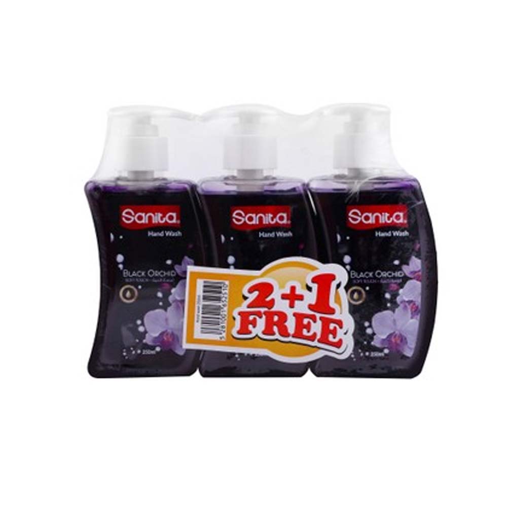 Sanita Hand Wash 250ml x 2 + 1 FREE Assorted