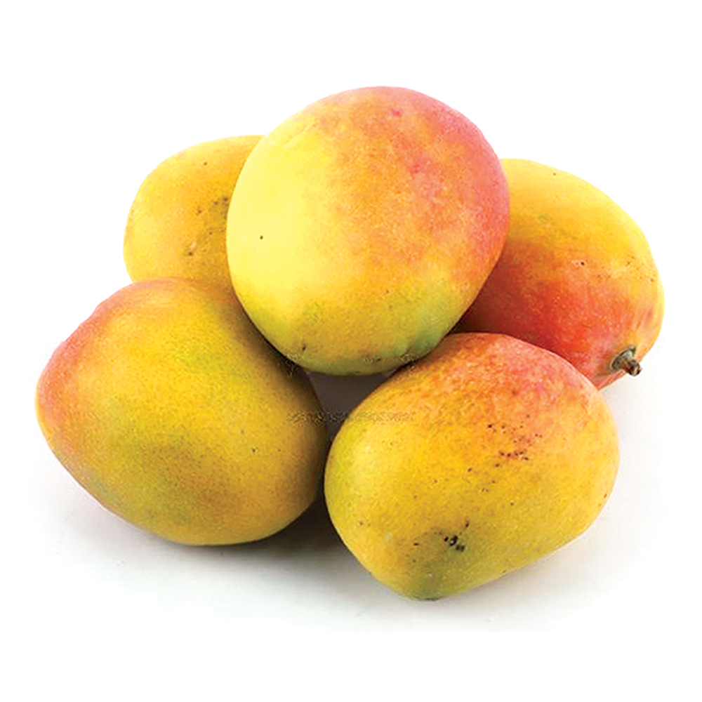 Mango Nadasala India1 Kg