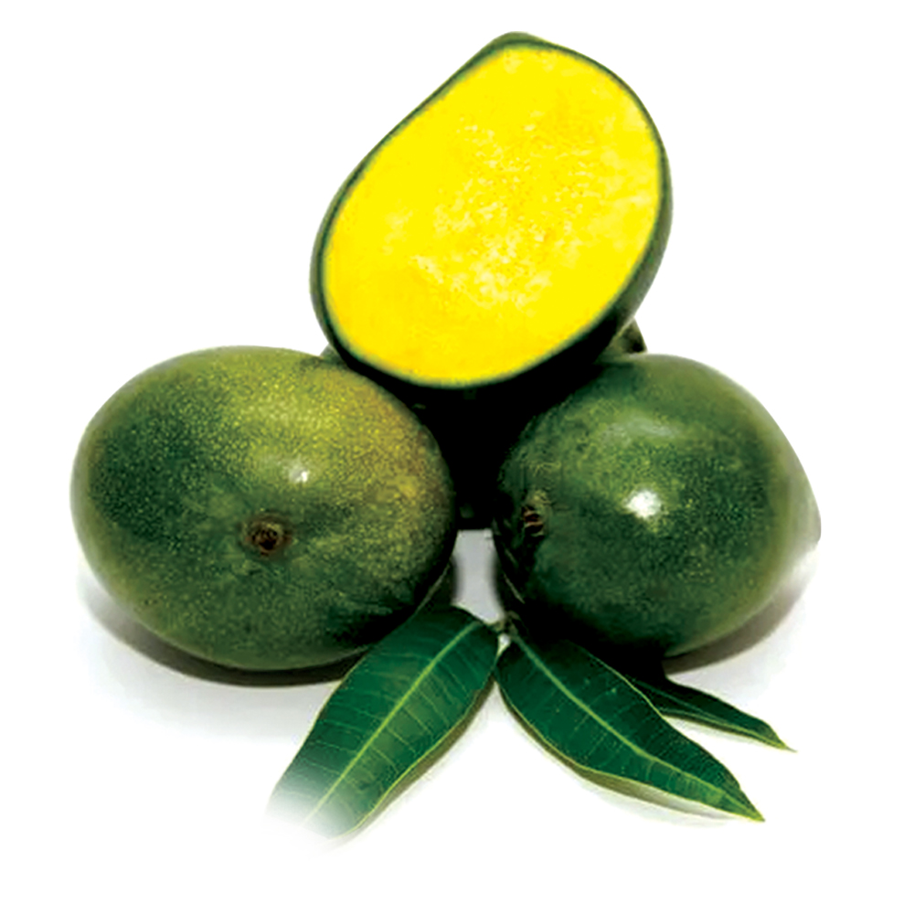 Mango Kalapadi India1Kg
