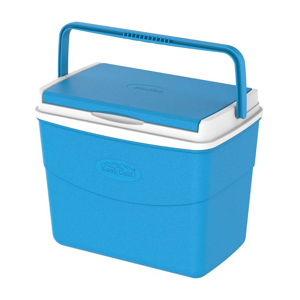 Cosmo Ice Box 30L Picnic Assorted