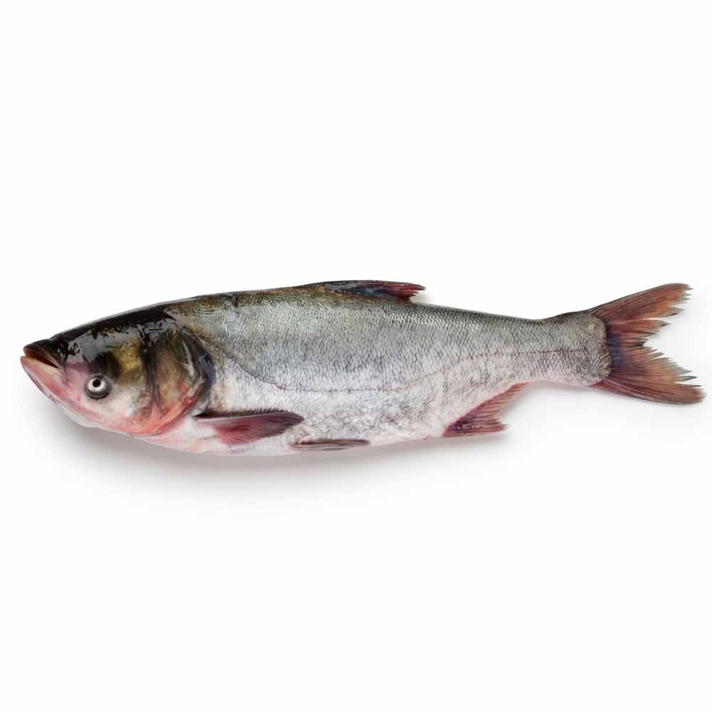 Silver Fish Egypt 1kg