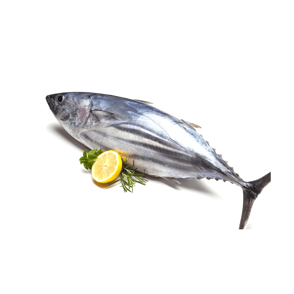 Tuna Fish (Uae) 1 Kg